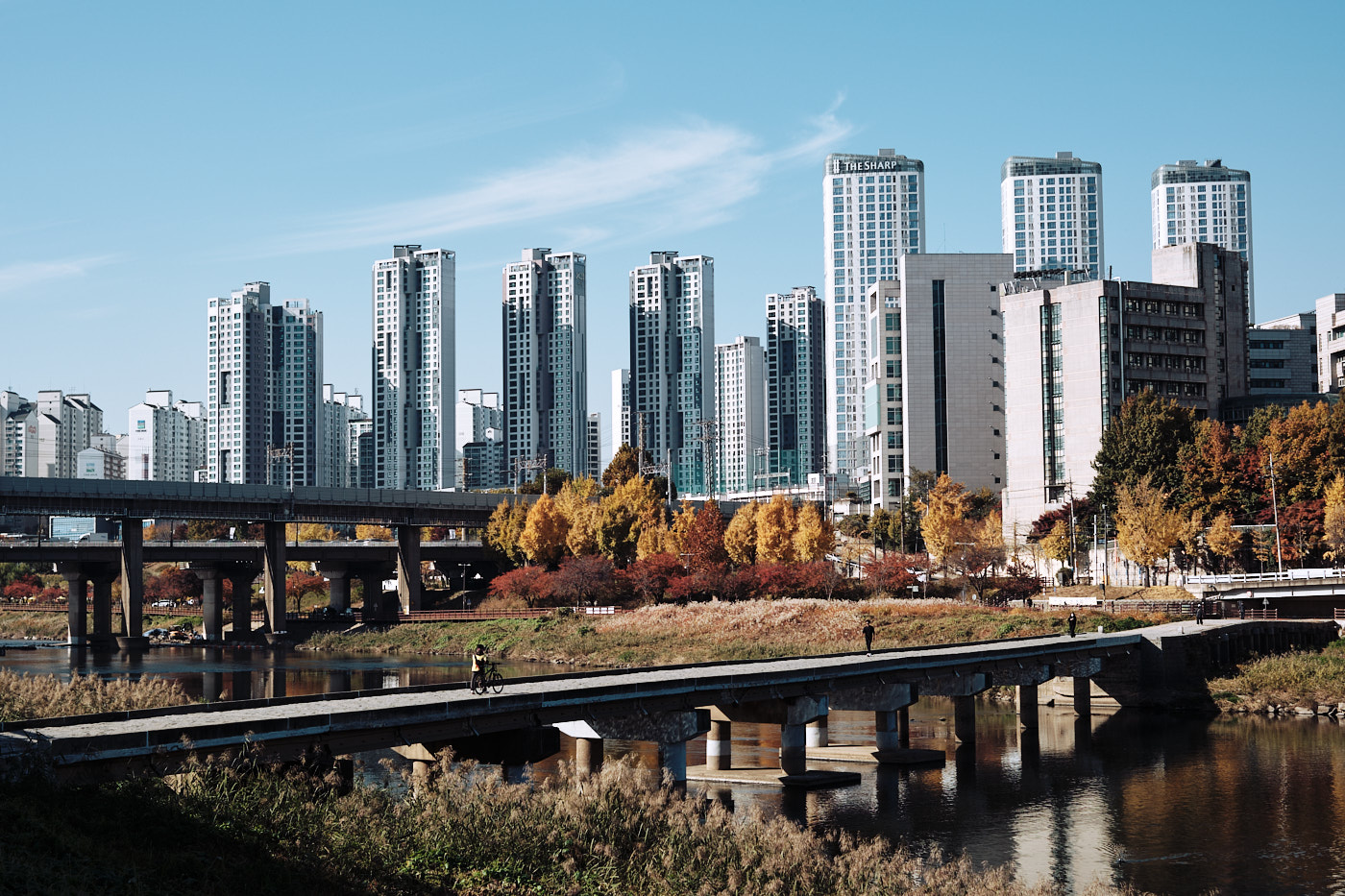 Hanyang University and Autumn Leaves
