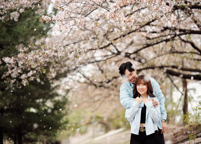 Yeouido Han River Park Cherry Blossom - Korea Photographer