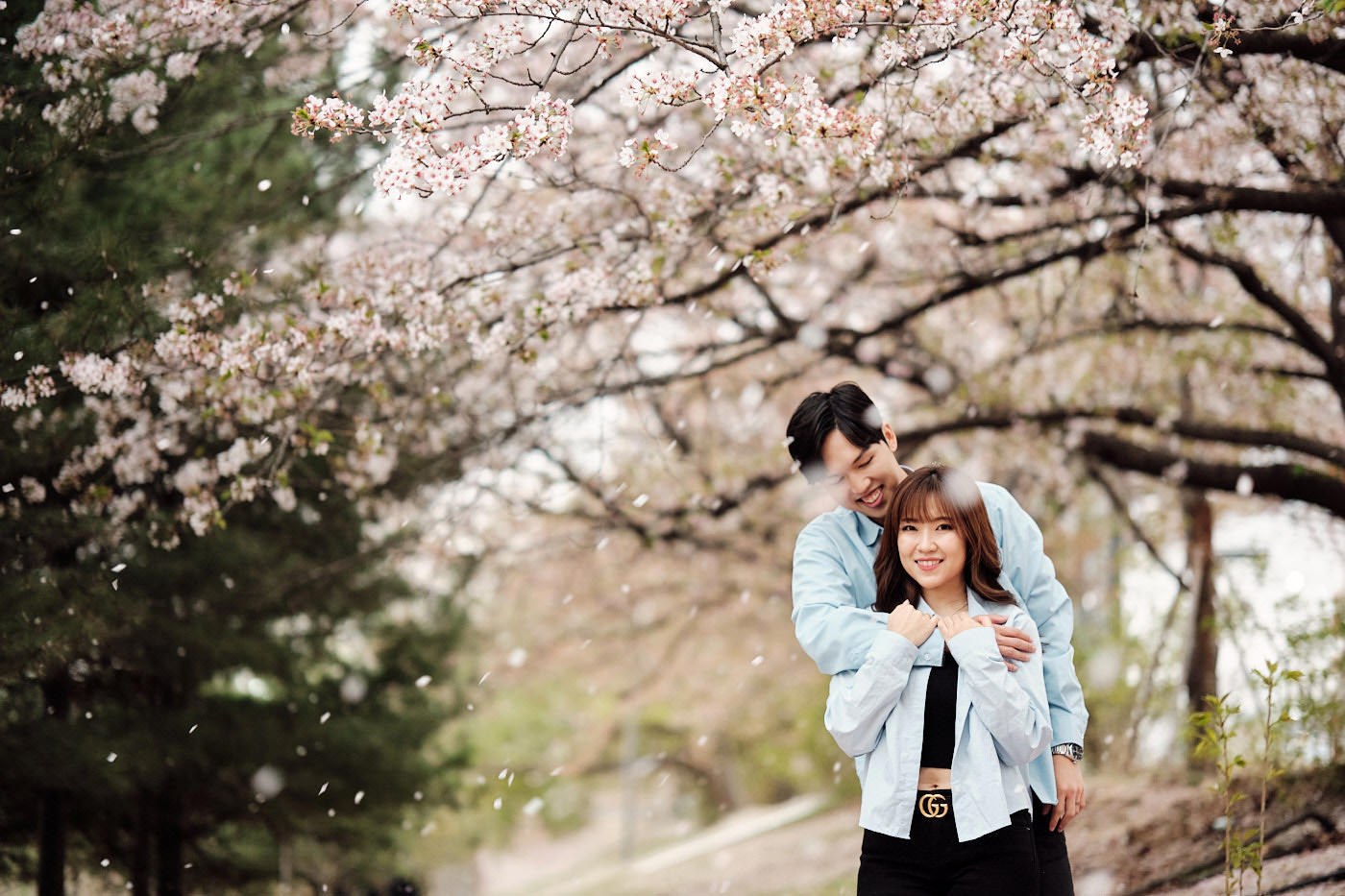 Yeouido Han River Park Cherry Blossom - Korea Photographer