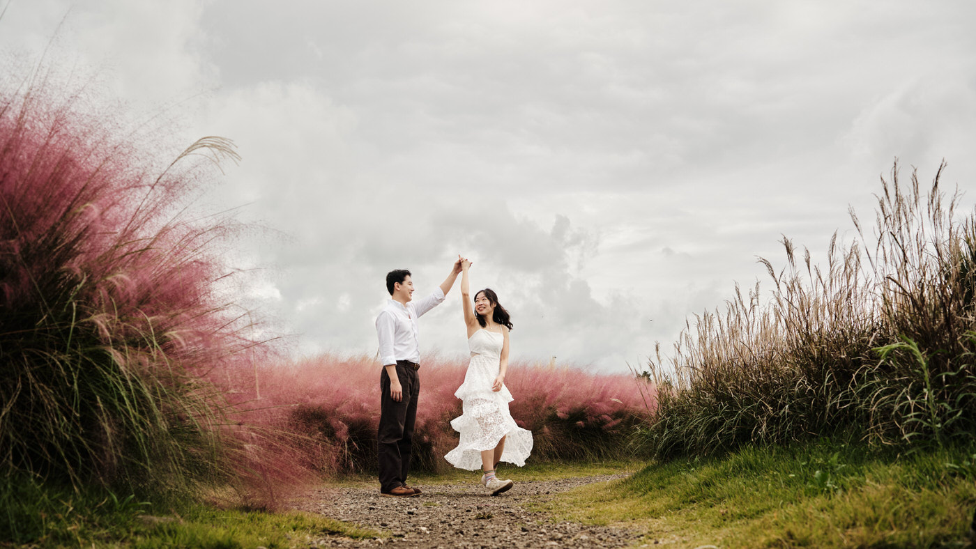 Pink Muhly Proposal - Jeju Island Photographer